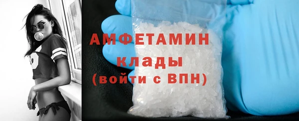 молекула духа Алзамай