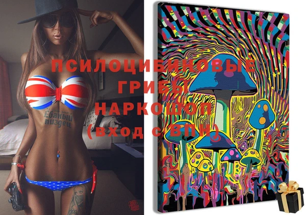 винт Алексеевка
