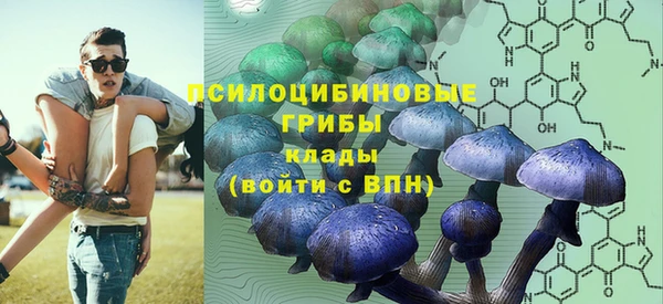 стафф Алексин