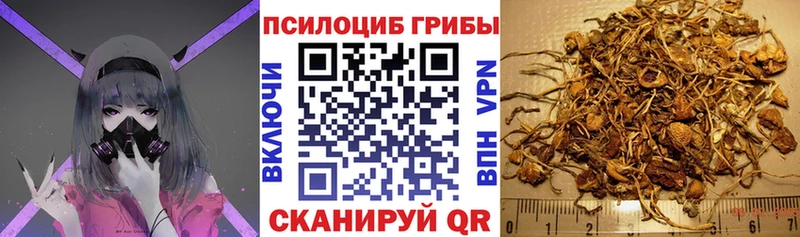 hydra зеркало  Красково  Галлюциногенные грибы ЛСД 